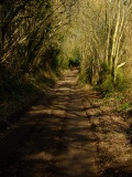 The  lane  to  Manor  Farm.