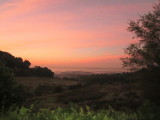 Dawn  over  the  Kentish  Weald / 2