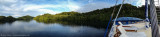 iPhone Panorama Mangroves