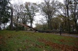 these trees made this part of the park cool in summer