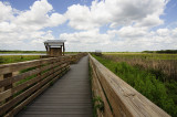 Bird Viewing Area