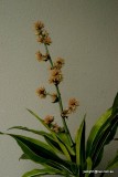 21-DSC06286.JPG