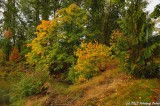 D3-102212-008.JPG