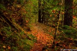 D7K-110912-079.JPG