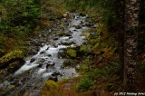 D7K-110912-094.JPG