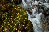 D7K-110912-133.JPG