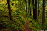 D7K-110912-160.JPG