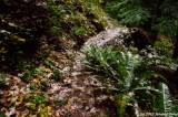 D7K-110912-172.JPG