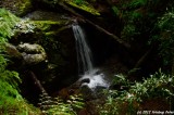 D7K-110912-228.JPG