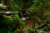 D7K-110912-240.JPG