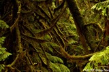 D7K-110912-297.JPG