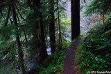 D7K-110912-380.JPG