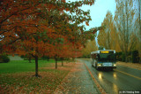 Here comes the bus!