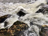 Were at the weir...!