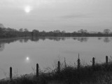 The calm before the storm...&#60;br&#62;24 November 2012 (441)