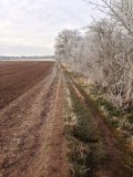 Crisp underfoot...