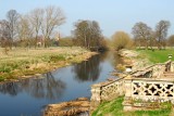 Where Will went poaching?<br>24 March 2012 (428)