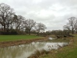 Bridge on the River Dene II