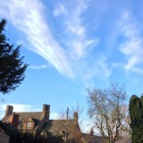 Of blue Olympus<br>3 January 2013 (462)