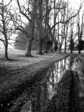 Watered
