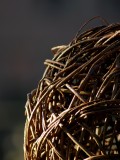 Intricacy I