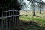 Deer fencing I