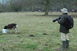 The sheep whisperer