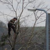 What, and wouldst climb a tree?<br>12 January 2013 (471)