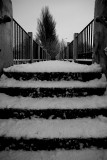 Step this way...