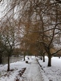 The Rec