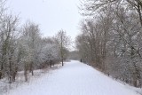 Empty Greenway