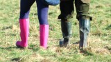 Welliebobs
