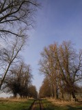 Avenue I