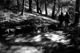 What more remains?<br>19 February 2013 (505)