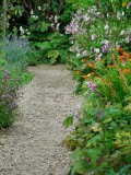 My favourite path