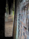 Graffiti