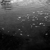 Water music III