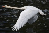 We have lift off