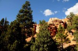 Cedar Breaks,Red Canyon,Bryce Canyon NP