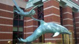2012-10-20_14-15-58_373.jpg