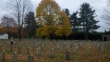 2012-10-26_11-01-35_912 (Small).jpg