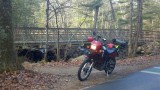 2012-12-05_09-44-32_831 (Small).jpg