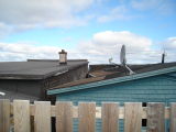 DSC00452.JPG