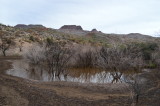 Lime Tank. Tonto National Forest. In the 257 Fire burn area