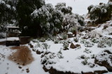 Main Trail at the Aloe Garden in the canyon 