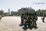 21- Royal Guard in Amalienborg.jpg
