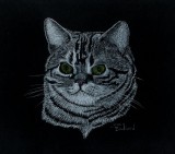 Ernie - charcoal, 9 x 12