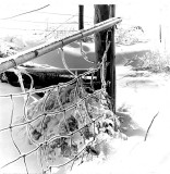 Ice Storm, Iowa 1973