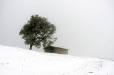 Ermita de la Trinidad