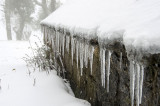 Chupones de hielo